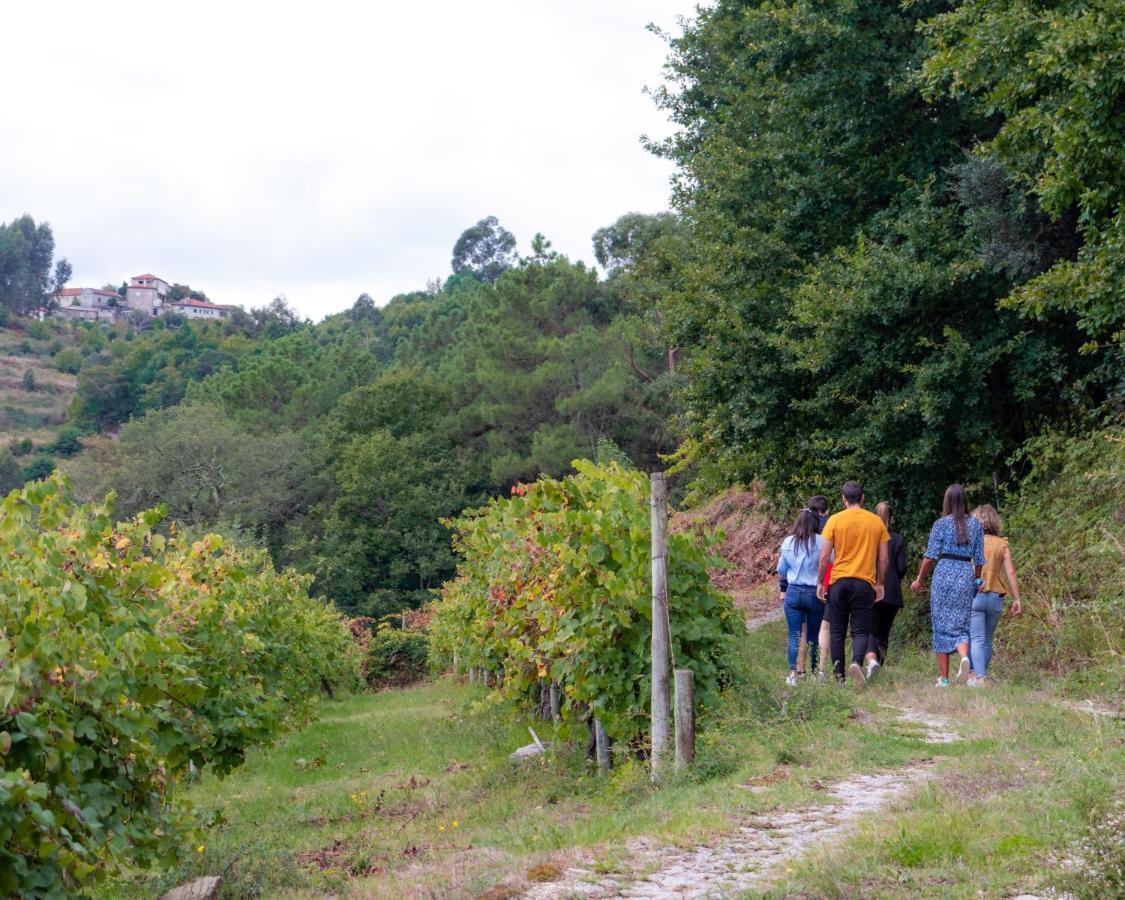 Вилла Quinta Do Tapadinho - Wine & Tourism Moimenta Экстерьер фото