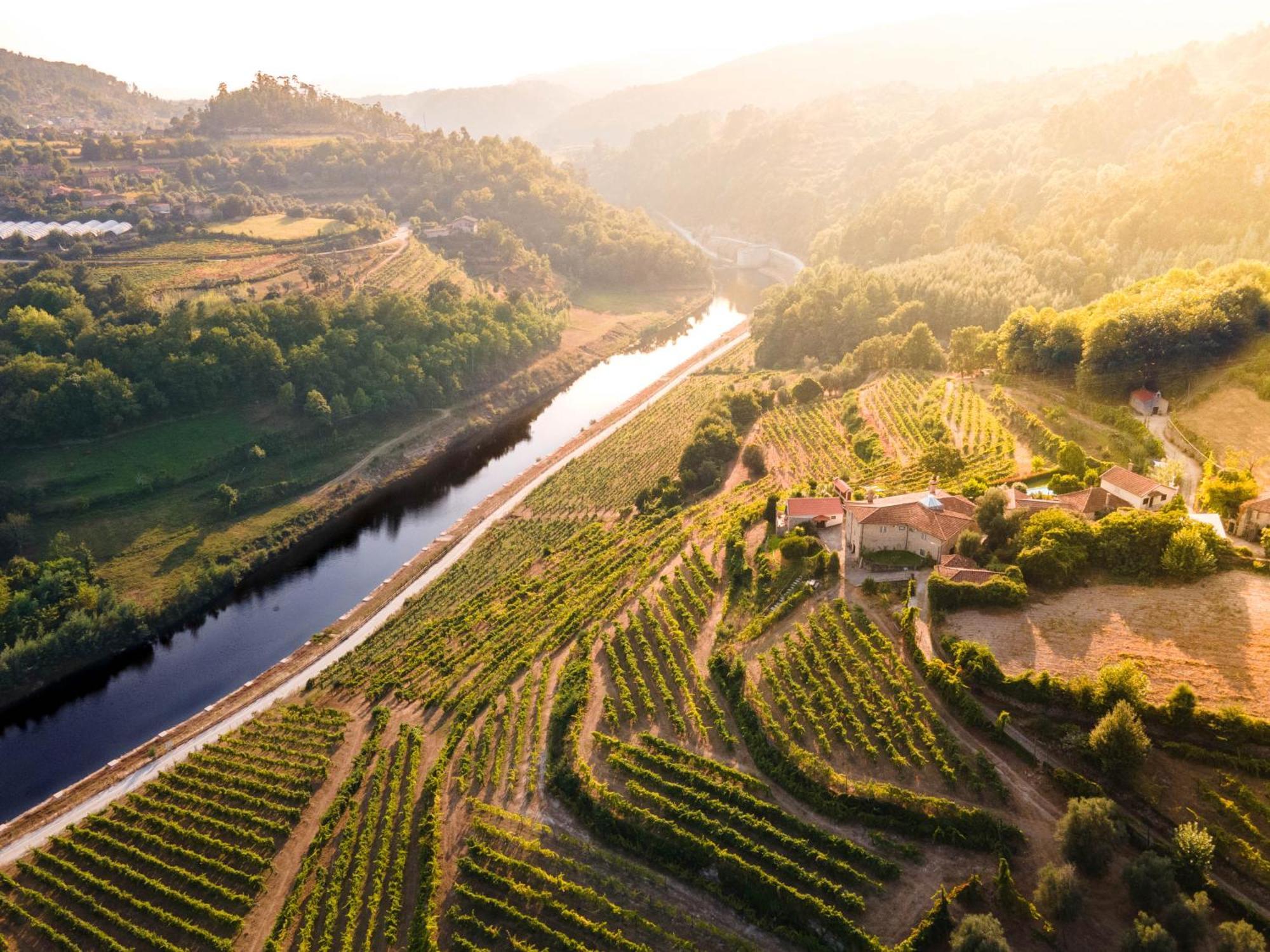 Вилла Quinta Do Tapadinho - Wine & Tourism Moimenta Экстерьер фото